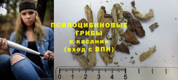 скорость Пестово