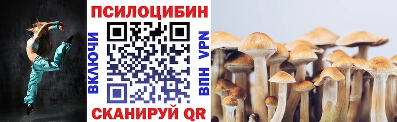 Псилоцибиновые грибы ЛСД  продажа наркотиков  KRAKEN рабочий сайт  shop какой сайт  Саров 